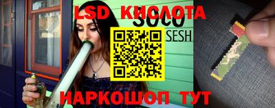 тгк Канаш