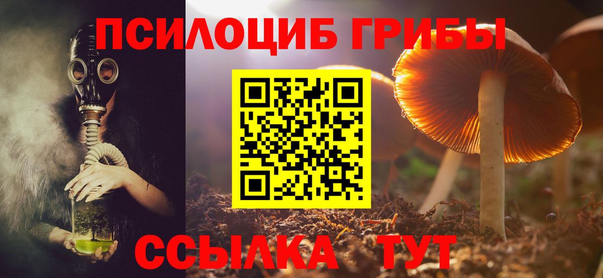 Псилоцибиновые грибы прущие грибы  Галлюциногенные грибы MAGIC MUSHROOMS  Вход с VPN  Сарапул 